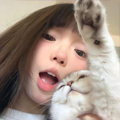 猪就是猪